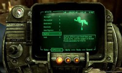 Как запустить Fallout 3 на Windows 10 и 11: вылеты и GFWL