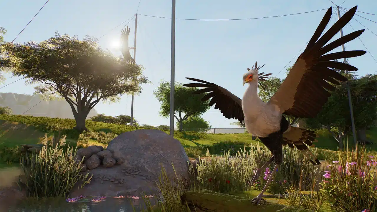 Птица-секретарь в Planet Zoo 2 расправила крылья в вольере, над которым натянута сетка на высоких металлических опорах